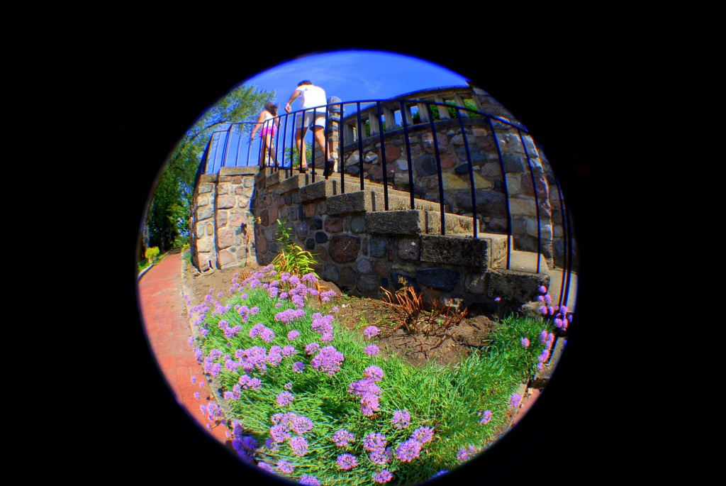 Stairs Cranbrook