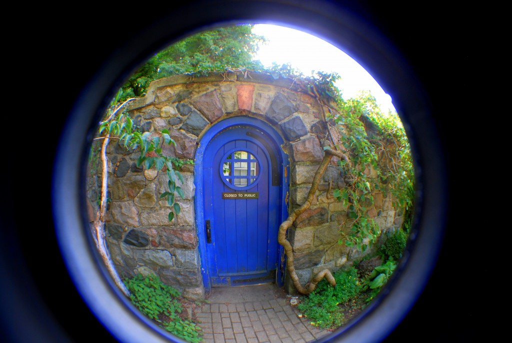 blue door Cranbrook