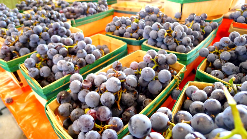 Concord grapes Concord grapes